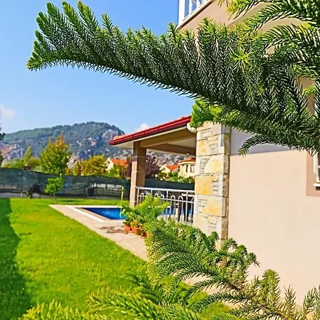 Toprak Villa Ortaca (Mugla)